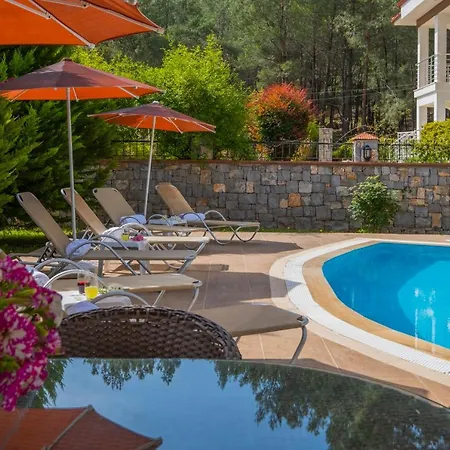 Infinity Olympia فيلة *