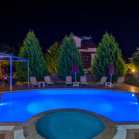 فيلة Infinity Olympia *