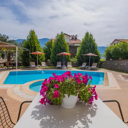 Infinity Olympia فيلة *