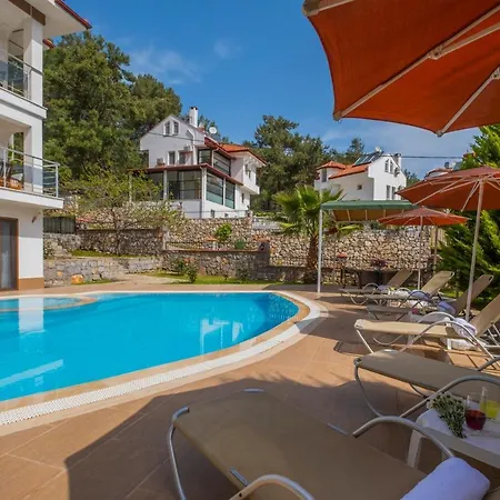 Vila Infinity Olympia