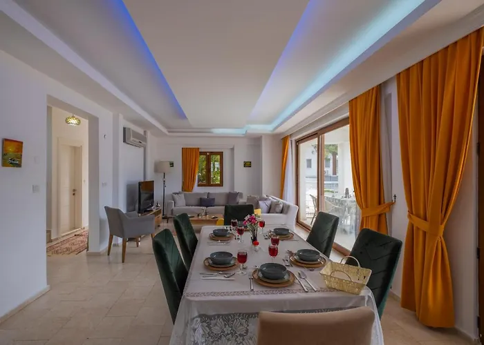 Vila Infinity Olympia *