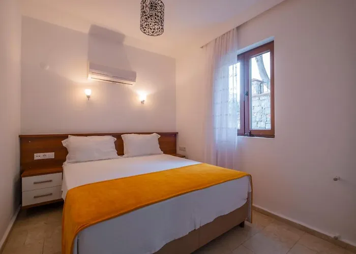 Vila Infinity Olympia *