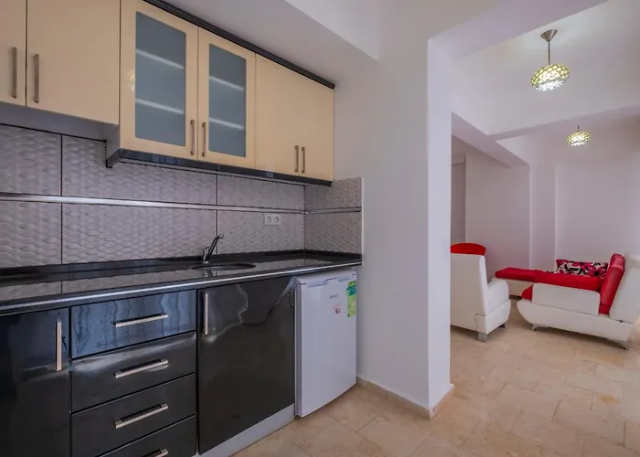 Vila Infinity Olympia