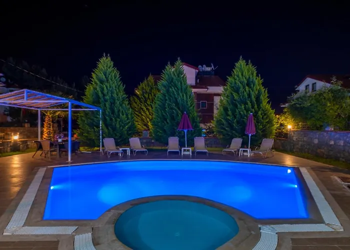 Vila Infinity Olympia *
