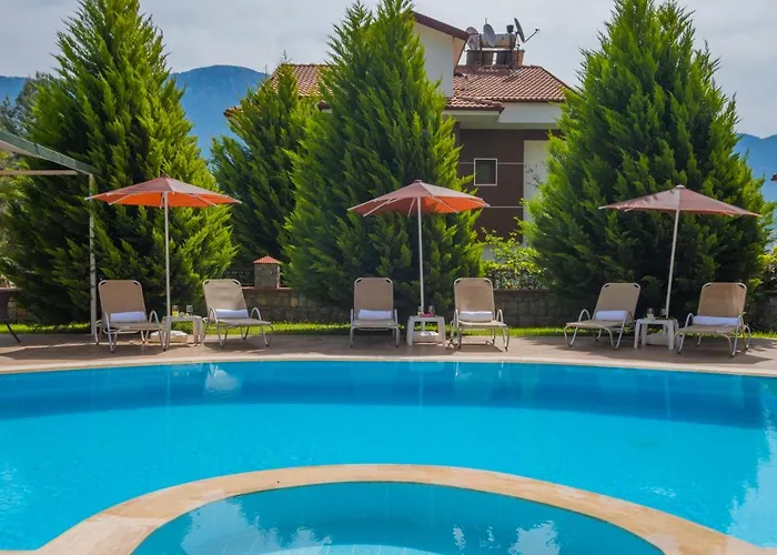 Vila Infinity Olympia