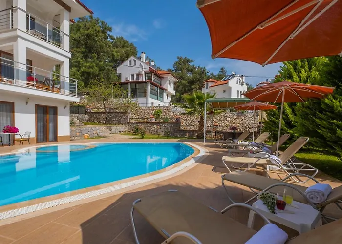 Vila Infinity Olympia